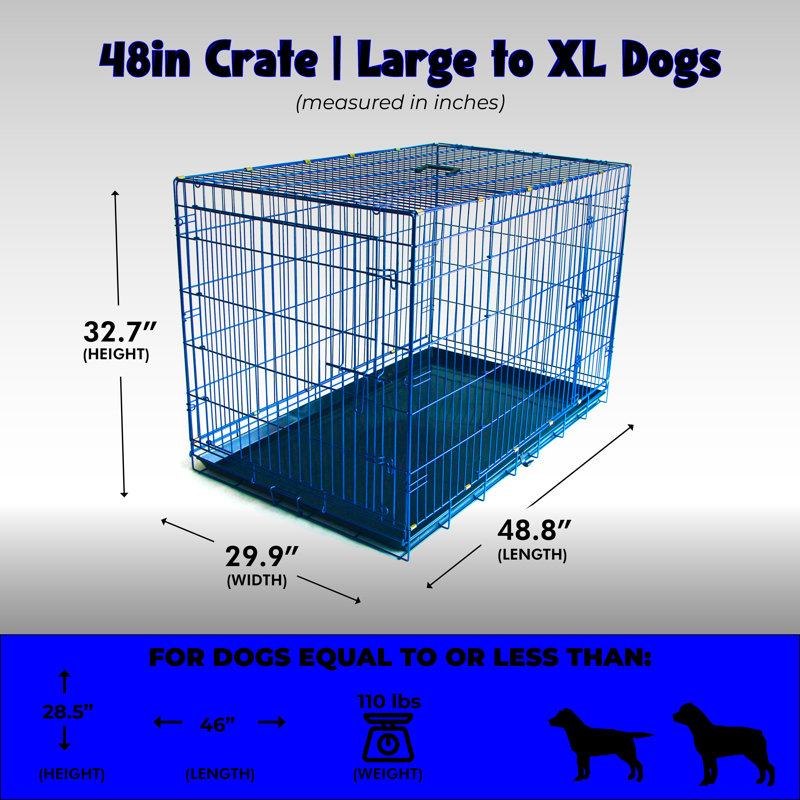 Bernadea Metal Collapsible Pet Crate with 2 Doors, 33" H x 30" W x 49" D, Blue