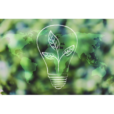 Lightbulb With Leaves - Wrapped Canvas Print