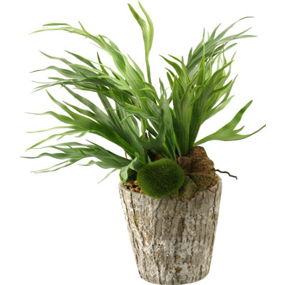 21'' Faux Fern Plant in Cement Planter
