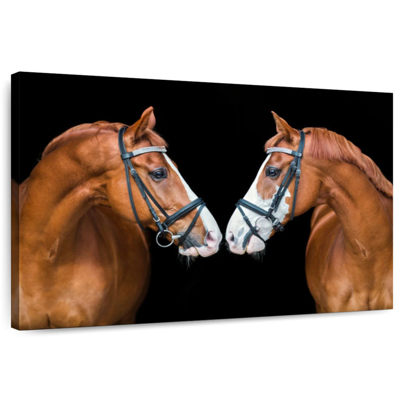 Hardie Chestnut Horses