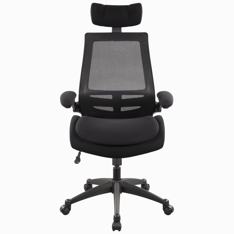 Latitude Run® Katalia Mesh Office Chair with Headrest