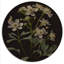«Diphylleia Grayi» sur fond noir I - Art mural en bois floral - Bois de pin naturel-1845652899