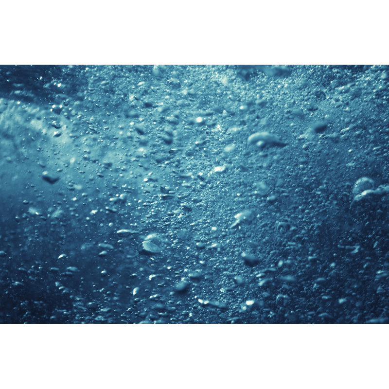 Underwater by Danilovi - Wrapped Canvas Print, 61cm H x 91cm W