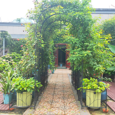Arche de jardin en métal avec deux supports à plantes de 79,5 po de largeur x 86,6 po de hauteur pour plante grimpante