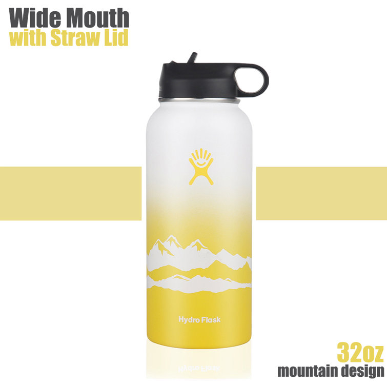https://assets.wfcdn.com/im/56073224/resize-h755-w755%5Ecompr-r85/2390/239020786/Hydro+Flask+32oz+Wide+Mouth+Water+Bottle+with+Straw+Lid%2C+Mountain+Design.jpg