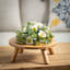 Mcpeak Wood Tray - Set of 3