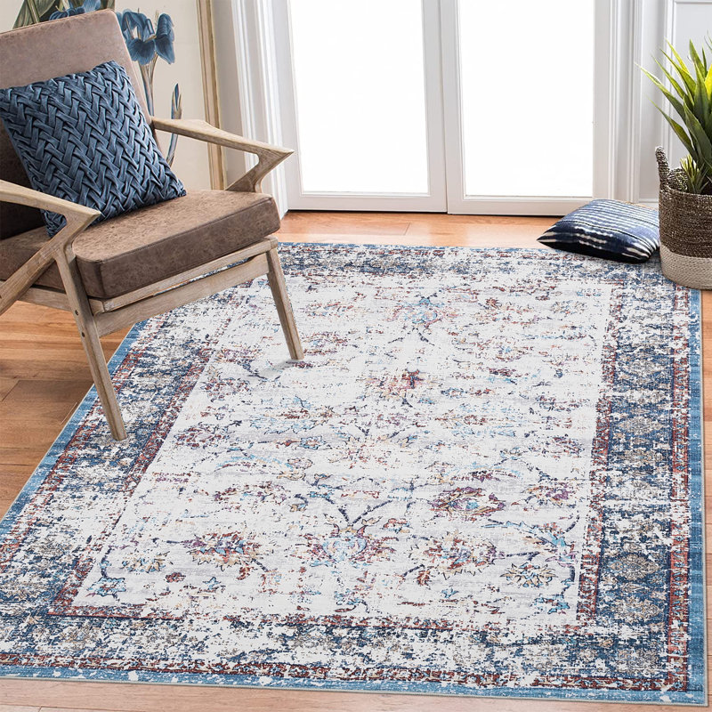 Vintage Area Rug Machine Washable Foldable Rug with Non Slip Carpet for Living Room Bedroom Dining Room, Clear