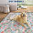 Tulip Runner Rug for Hallway 2x6 Non-Slip Non-Shedding Floral Carpet Runner, Machine Washable Indoor Floor Mat, Easy to Clean Rug-1719266558-1719266534