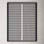 Delia Area Rug in Ivory / Black-1513379301
