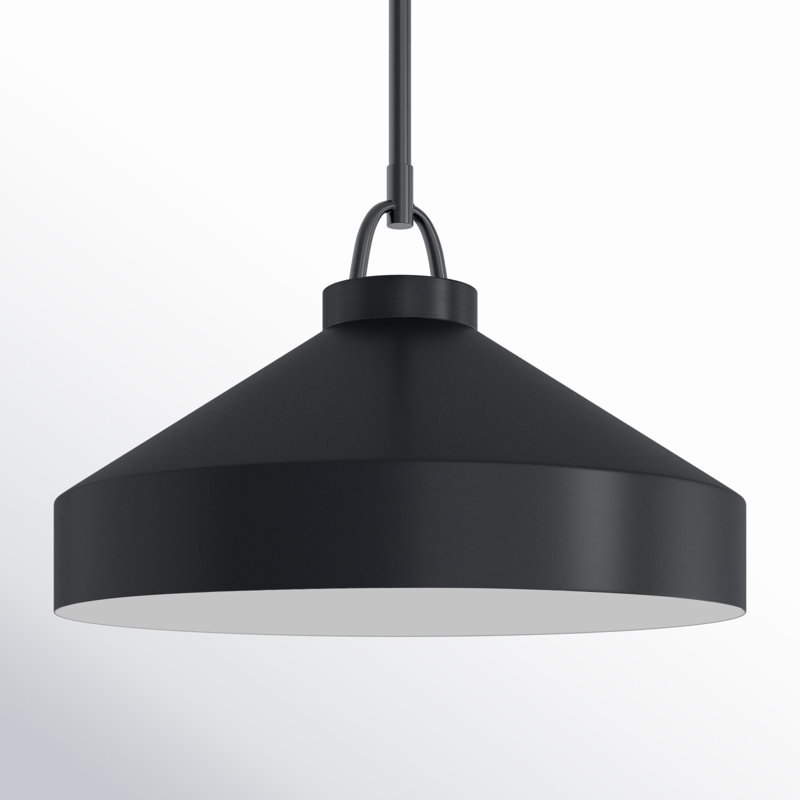 Orion 1 - Light Dome Pendant, 49.25" H x 16" W x 16" D, Black