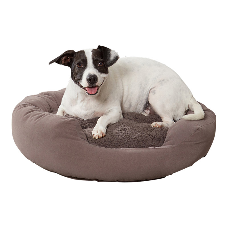 Lit pour chien Chamari Donut, Petit (l 24 po x P 24 po x H 8 po), Gris