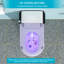 Toilette intelligente avec bidet intégré