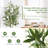71.5'' Faux Olive Tree Tree