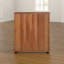 Multimedia Cabinet-965466643