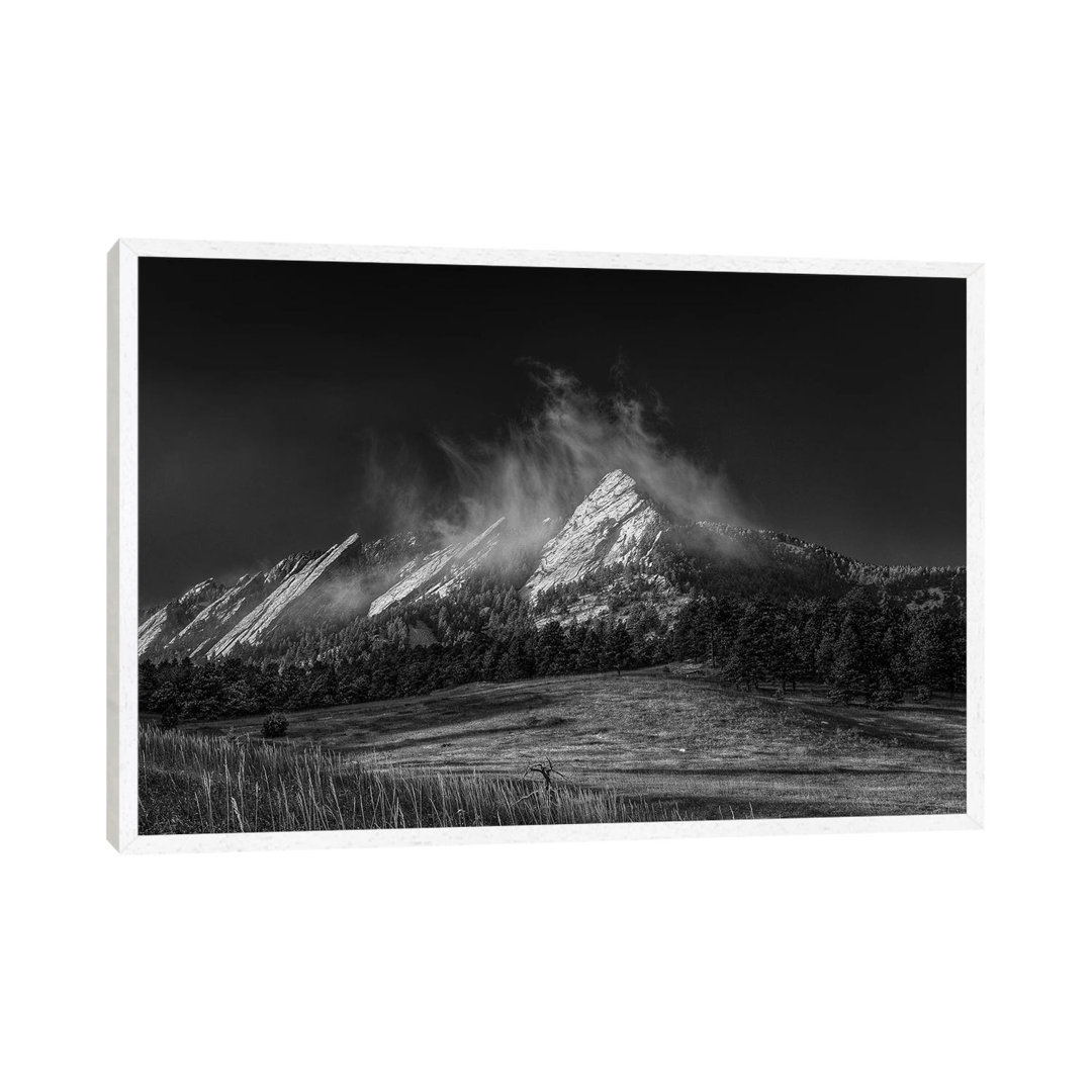 Frozen Whimsey, B&W von Bill Sherrell - Galerie-verpackte Leinwand Giclée auf Leinwand