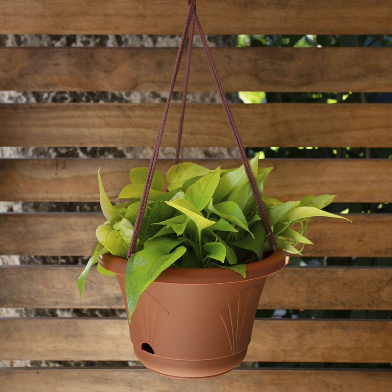 Terra Cotta Self-Watering Hanging Basket with Macrame Cord
