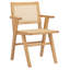 Fauteuil Atticus Cane-53582221
