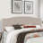 Hanneman Upholstered Headboard-323412604-323412549