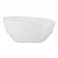 Walker 61.75" Freestanding Air Bathtub-411199978