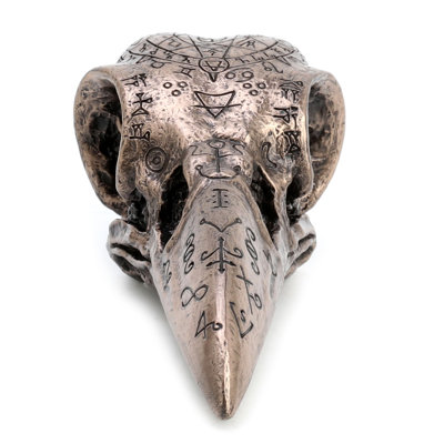 6.3 in L Raven Skull, Poly Resin