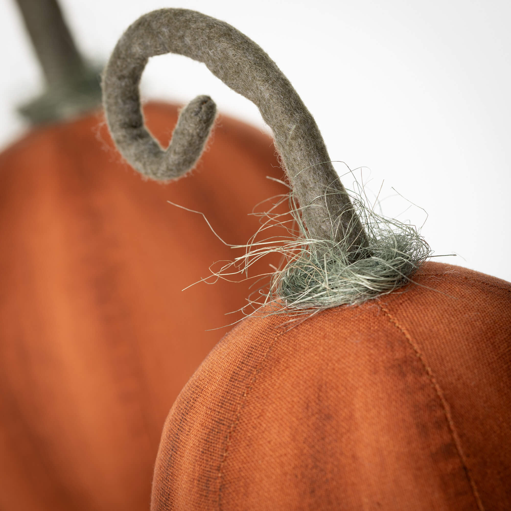 12" & 8" Curlicue Stem Harvest Pumpkins Set of 2, Orange