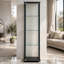 Misa 16.75 " W Glass Curio Cabinet