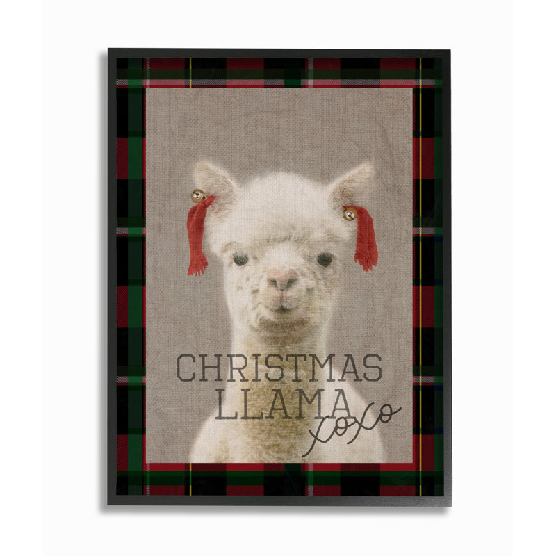 « christmas llama xoxo », impression, H 20 po x l 16 po, Giclée encadrée noir minuit
