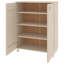 Jezelle 16 Pair Shoe Storage Cabinet-482781980