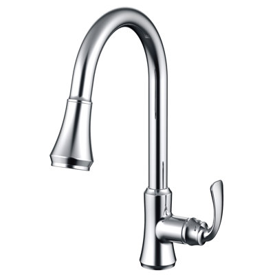 Daweier Pull Out Kitchen Faucet