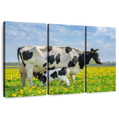 Brampt Spotted Cattle