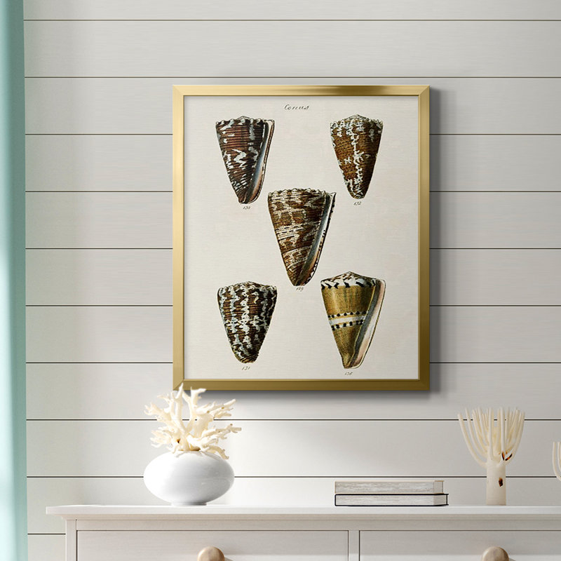 Toile encadrée de qualité supérieure Cone Shell Collection V - prête à être accrochée, Or, H 20 po x l 16 po