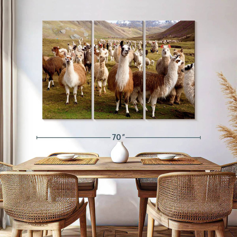 Brampt Peruvian Alpacas And Llamas, 42" H x 65" W
