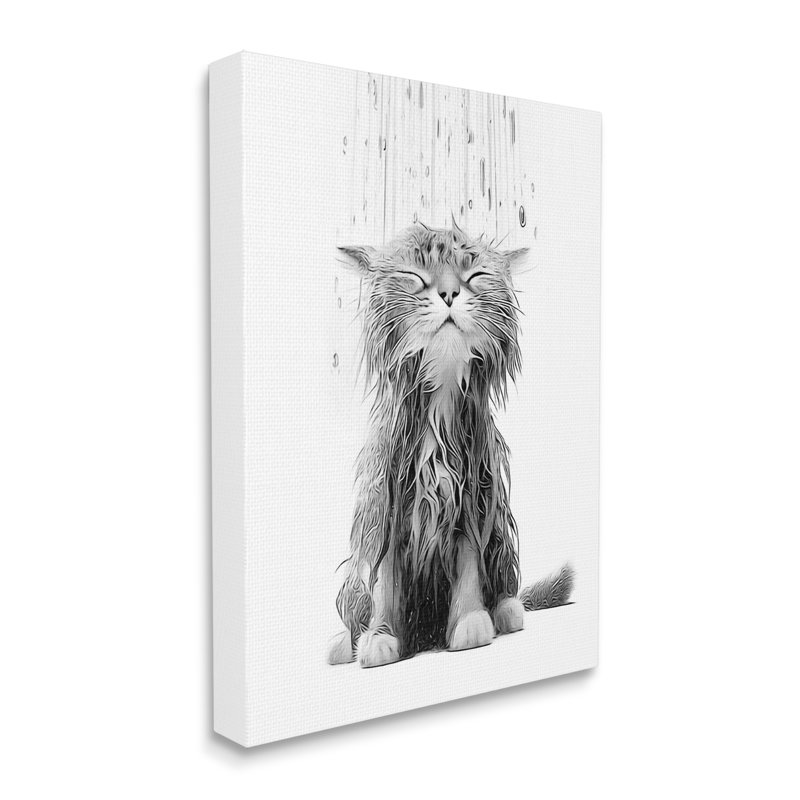 Chaton de salle de bain Splash sur bois par Annalisa Latella, H 30 po x l 24 po x P 1,5 po, Giclée encadrée noir minuit