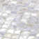Pacif 0.39" x 0.79" Seashell Fish Scale Mosaic Wall & Floor Tile