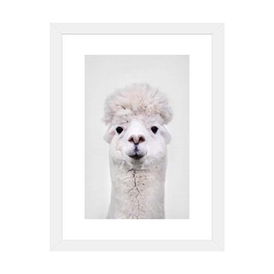 " Llama " by Sisi & Seb