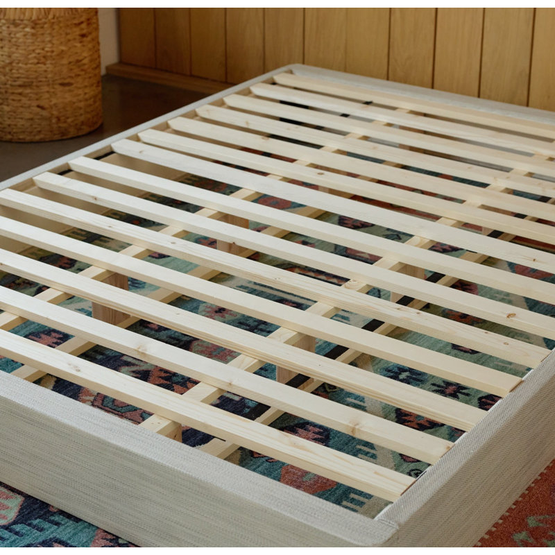 Avocado Foundation, Queen