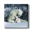 Winter Snuggle - Photographie sur toile tendue-344002433