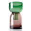  Reversible Glass Vase