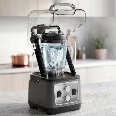 Mélangeur professionnel de 68 oz, puissance maximale de 2 200 W, minuterie à 9 vitesses et pulsation, smoothies, glace pilée et beurres de noix