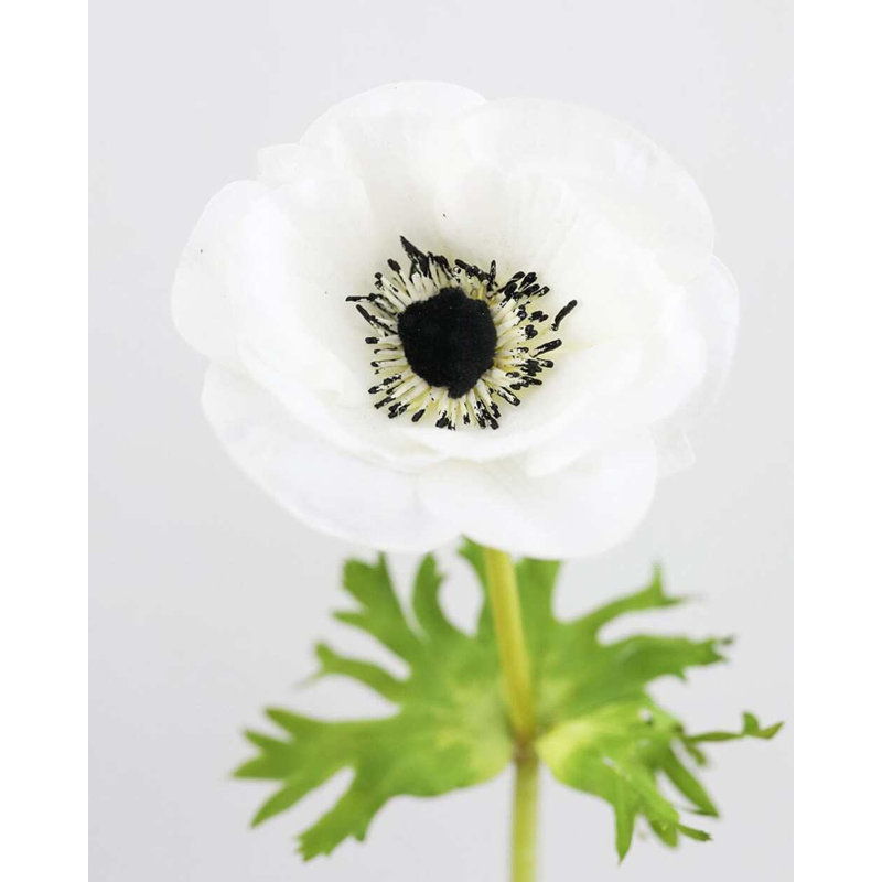 Real Touch Soft Peach Anemone 17.5", White