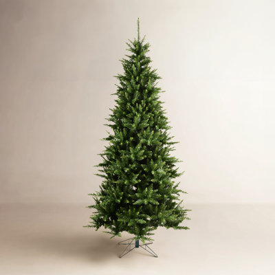 Peabody 12' Fir Christmas Tree