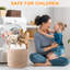 Fabric Laundry Hamper with Handles-2004876756