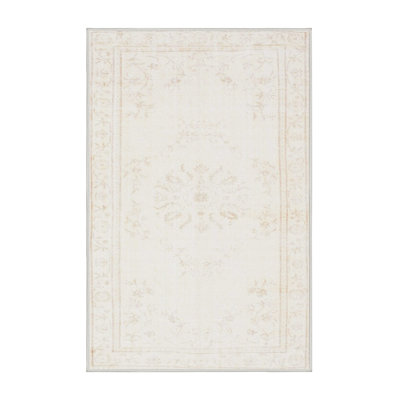Oriental Indoor Rug