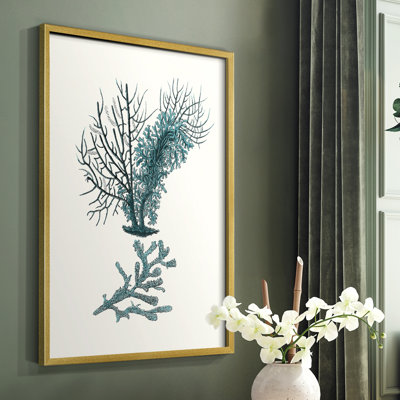Reproduction encadrée Antique Coastal Coral VI - bois massif