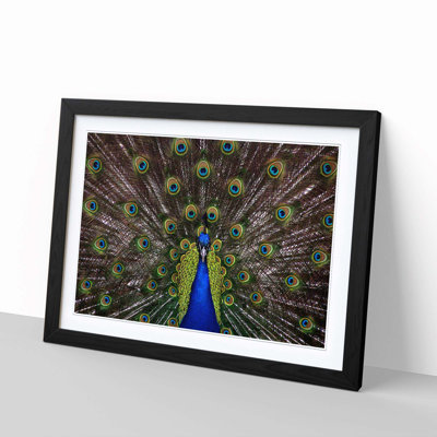 Single Picture Frame Print