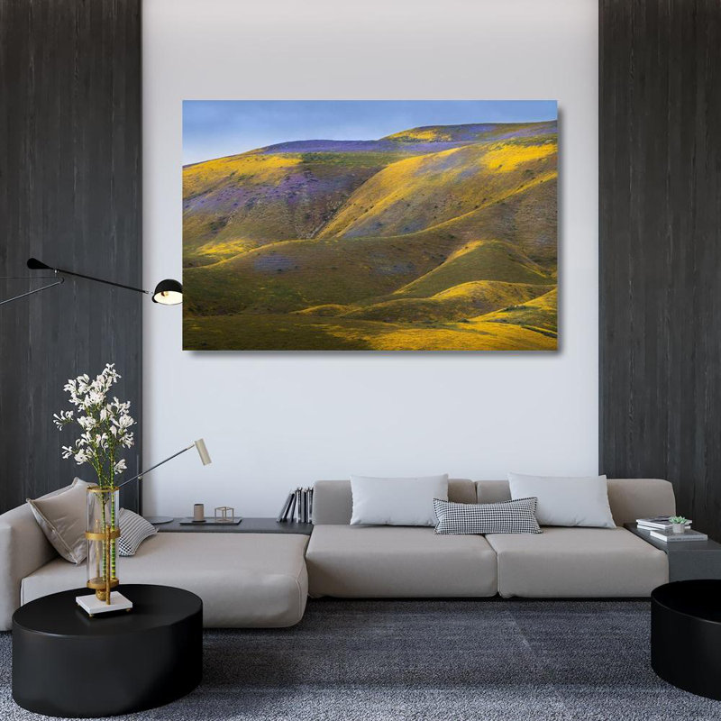 Jaynes Gallery, Monument national de la plaine de Carrizo, Californie, H 33 po x l 48 po