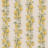 Just Kitchens Lemon Trail Stripe 33' L x 21" W Wallpaper Roll