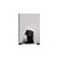 Funny Bathroom Canvas Wall Art Bathroom Decor Posters Cute Dog Art Bathroom Labrador 24X36inch