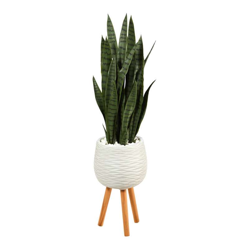 Jardinière Sansevieria, H 46 po x l 13 po x P 13 po, Vert