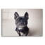 "Bailey" par Susan Sabo-1290787543